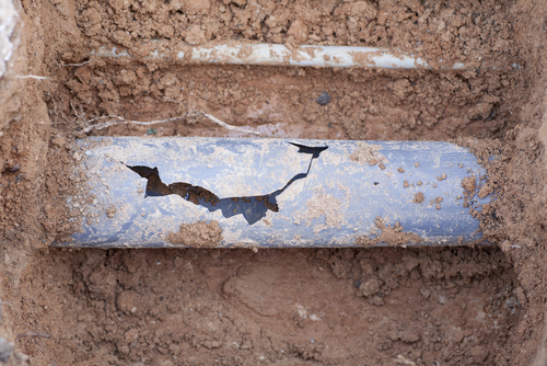 Get To The Root Cause With Sewer Line Inspection Service In Alpharetta